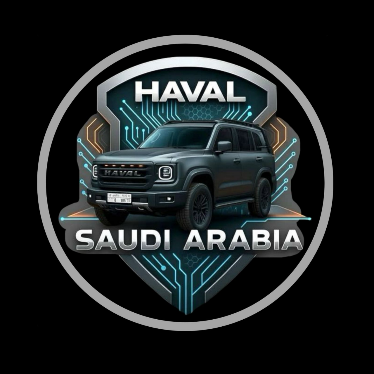 HAVAL TV